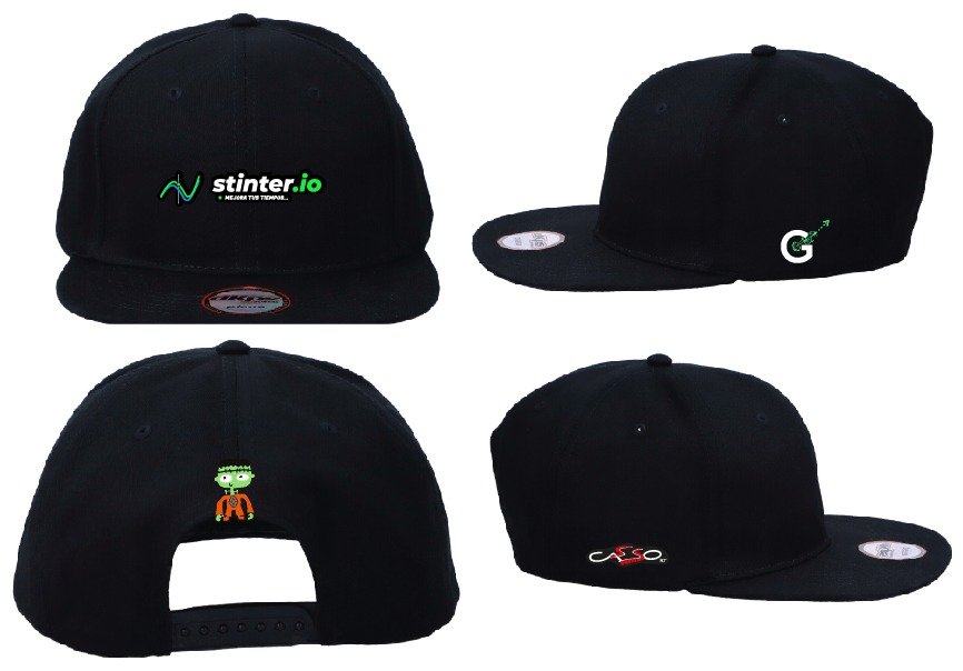 Gorra Stinter D2